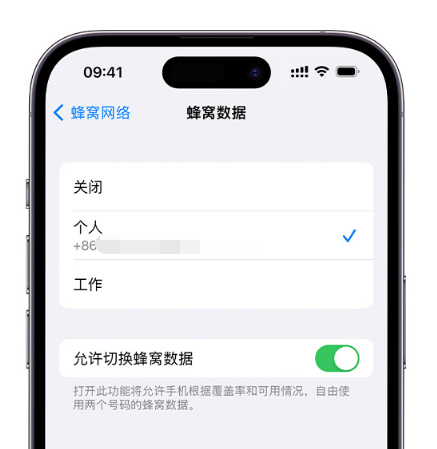 绥滨苹果维修服务分享如何在iPhone上使用双卡 